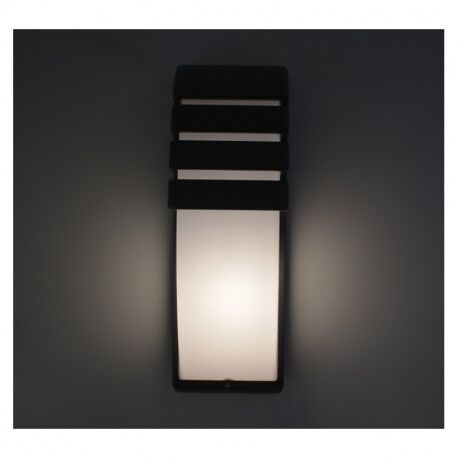 APPLIQUE MURAL E27 6 1 x 12W LED MAX IP44 IK08 CLASSE I ANTHRACITE -MII70253