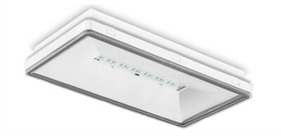 BLOC BAES AMBIANCE 14 LEDS 345LM MODE NM IP65 IK08 BLT212423 - ONEA1S65