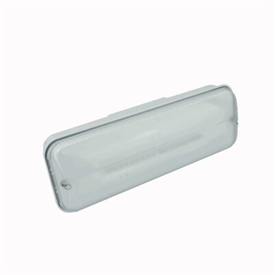 BLOC EVACUATION ARIAN NP/P 12xLEDs 0,5W 1H FLUX 180/315LM IP65/IK10 - LAC9300LXP