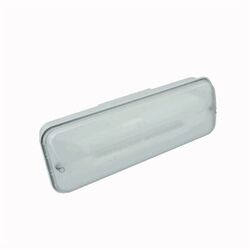 BLOC EVACUATION ARIAN NP/P 12xLEDs 0,5W 1H FLUX 180/315LM IP65/IK10 - LAC9300LXP