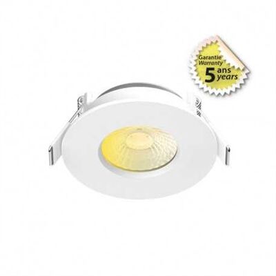 SPOT LED FIXE BBC DIMM 6W CCT 2700/3000/4000K IP65 IK07 - 100269