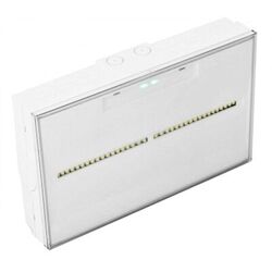BLOC EVACUATION TOLEDO CENTRALIS&Eacute; LSC 18LEDs x 0,085W 45LM NP/P IP65 - CTE-0423