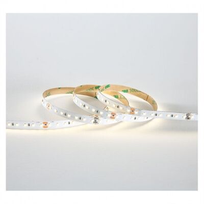 RUBAN LED 24V 10W/M 4000K 960LM / M IP20 5M - 100441