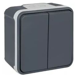 DOUBLE VA ET VIENT OXXO 10A SAILLIE GRIS IP55 - 60802