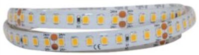 RUBAN LED PERFORMA EVO 1M 24V 12W/M 3000K 1411LM/M 160 LED IP67 12MM - 816025503